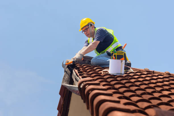 Best Roof Insulation Installation  in Salem, UT